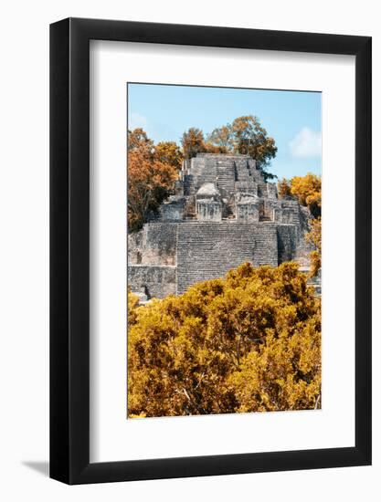 ¡Viva Mexico! Collection - Ancient Maya City within the jungle in Autumn of Calakmul II-Philippe Hugonnard-Framed Photographic Print