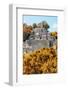 ¡Viva Mexico! Collection - Ancient Maya City within the jungle in Autumn of Calakmul II-Philippe Hugonnard-Framed Photographic Print