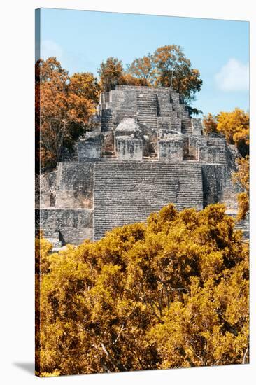 ¡Viva Mexico! Collection - Ancient Maya City within the jungle in Autumn of Calakmul II-Philippe Hugonnard-Stretched Canvas