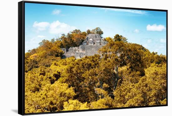 ¡Viva Mexico! Collection - Ancient Maya City within the jungle in Autumn of Calakmul III-Philippe Hugonnard-Framed Stretched Canvas