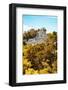 ¡Viva Mexico! Collection - Ancient Maya City within the jungle in Autumn of Calakmul IV-Philippe Hugonnard-Framed Photographic Print