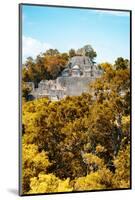 ¡Viva Mexico! Collection - Ancient Maya City within the jungle in Autumn of Calakmul IV-Philippe Hugonnard-Mounted Photographic Print