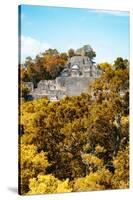 ¡Viva Mexico! Collection - Ancient Maya City within the jungle in Autumn of Calakmul IV-Philippe Hugonnard-Stretched Canvas