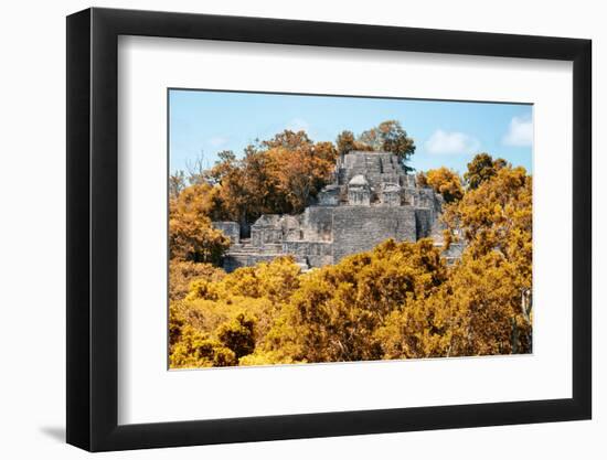 ¡Viva Mexico! Collection - Ancient Maya City within the jungle in Autumn of Calakmul-Philippe Hugonnard-Framed Photographic Print