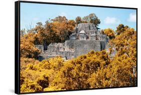¡Viva Mexico! Collection - Ancient Maya City within the jungle in Autumn of Calakmul-Philippe Hugonnard-Framed Stretched Canvas