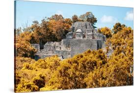 ¡Viva Mexico! Collection - Ancient Maya City within the jungle in Autumn of Calakmul-Philippe Hugonnard-Stretched Canvas