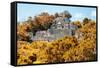 ¡Viva Mexico! Collection - Ancient Maya City within the jungle in Autumn of Calakmul-Philippe Hugonnard-Framed Stretched Canvas