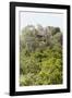 ¡Viva Mexico! Collection - Ancient Maya City within the jungle IV - Calakmul-Philippe Hugonnard-Framed Photographic Print