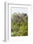 ¡Viva Mexico! Collection - Ancient Maya City within the jungle IV - Calakmul-Philippe Hugonnard-Framed Photographic Print