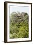 ¡Viva Mexico! Collection - Ancient Maya City within the jungle IV - Calakmul-Philippe Hugonnard-Framed Photographic Print