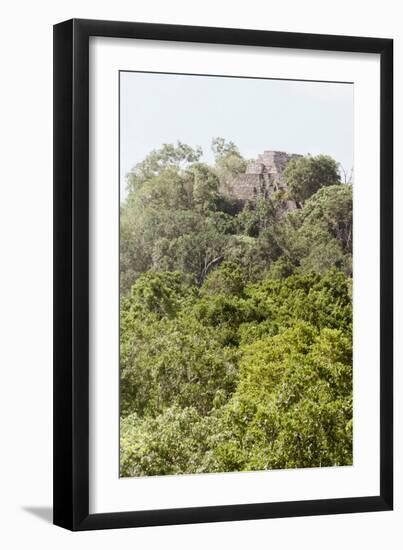 ¡Viva Mexico! Collection - Ancient Maya City within the jungle IV - Calakmul-Philippe Hugonnard-Framed Photographic Print