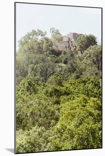 ¡Viva Mexico! Collection - Ancient Maya City within the jungle IV - Calakmul-Philippe Hugonnard-Mounted Photographic Print