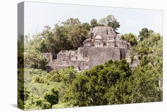 ¡Viva Mexico! Collection - Ancient Maya City within the jungle of Calakmul II-Philippe Hugonnard-Stretched Canvas