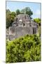 ¡Viva Mexico! Collection - Ancient Maya City within the jungle of Calakmul III-Philippe Hugonnard-Mounted Photographic Print