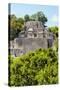 ¡Viva Mexico! Collection - Ancient Maya City within the jungle of Calakmul III-Philippe Hugonnard-Stretched Canvas