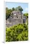 ¡Viva Mexico! Collection - Ancient Maya City within the jungle of Calakmul III-Philippe Hugonnard-Framed Photographic Print