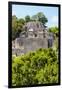 ¡Viva Mexico! Collection - Ancient Maya City within the jungle of Calakmul III-Philippe Hugonnard-Framed Photographic Print