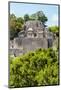 ¡Viva Mexico! Collection - Ancient Maya City within the jungle of Calakmul III-Philippe Hugonnard-Mounted Photographic Print