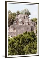 ¡Viva Mexico! Collection - Ancient Maya City within the jungle of Calakmul IV-Philippe Hugonnard-Framed Premium Photographic Print