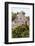 ¡Viva Mexico! Collection - Ancient Maya City within the jungle of Calakmul IV-Philippe Hugonnard-Framed Photographic Print