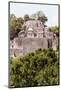 ¡Viva Mexico! Collection - Ancient Maya City within the jungle of Calakmul IV-Philippe Hugonnard-Mounted Photographic Print