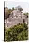 ¡Viva Mexico! Collection - Ancient Maya City within the jungle of Calakmul IV-Philippe Hugonnard-Stretched Canvas