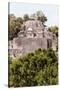 ¡Viva Mexico! Collection - Ancient Maya City within the jungle of Calakmul IV-Philippe Hugonnard-Stretched Canvas