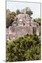 ¡Viva Mexico! Collection - Ancient Maya City within the jungle of Calakmul IV-Philippe Hugonnard-Mounted Photographic Print