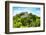 ¡Viva Mexico! Collection - Ancient Maya City within the jungle of Calakmul V-Philippe Hugonnard-Framed Photographic Print