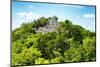 ¡Viva Mexico! Collection - Ancient Maya City within the jungle of Calakmul V-Philippe Hugonnard-Mounted Photographic Print