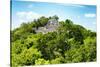 ¡Viva Mexico! Collection - Ancient Maya City within the jungle of Calakmul V-Philippe Hugonnard-Stretched Canvas