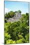 ¡Viva Mexico! Collection - Ancient Maya City within the jungle of Calakmul VI-Philippe Hugonnard-Mounted Premium Photographic Print