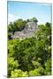 ¡Viva Mexico! Collection - Ancient Maya City within the jungle of Calakmul VI-Philippe Hugonnard-Mounted Photographic Print