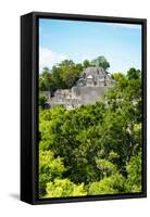 ¡Viva Mexico! Collection - Ancient Maya City within the jungle of Calakmul VI-Philippe Hugonnard-Framed Stretched Canvas