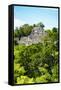 ¡Viva Mexico! Collection - Ancient Maya City within the jungle of Calakmul VI-Philippe Hugonnard-Framed Stretched Canvas