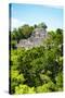 ¡Viva Mexico! Collection - Ancient Maya City within the jungle of Calakmul VI-Philippe Hugonnard-Stretched Canvas