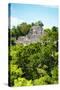 ¡Viva Mexico! Collection - Ancient Maya City within the jungle of Calakmul VI-Philippe Hugonnard-Stretched Canvas