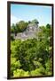 ¡Viva Mexico! Collection - Ancient Maya City within the jungle of Calakmul VI-Philippe Hugonnard-Framed Photographic Print