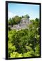 ¡Viva Mexico! Collection - Ancient Maya City within the jungle of Calakmul VI-Philippe Hugonnard-Framed Premium Photographic Print