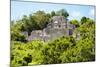 ¡Viva Mexico! Collection - Ancient Maya City within the jungle of Calakmul-Philippe Hugonnard-Mounted Photographic Print