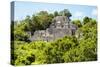 ¡Viva Mexico! Collection - Ancient Maya City within the jungle of Calakmul-Philippe Hugonnard-Stretched Canvas