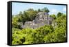 ¡Viva Mexico! Collection - Ancient Maya City within the jungle of Calakmul-Philippe Hugonnard-Framed Stretched Canvas