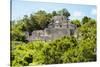 ¡Viva Mexico! Collection - Ancient Maya City within the jungle of Calakmul-Philippe Hugonnard-Stretched Canvas