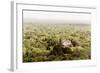 ¡Viva Mexico! Collection - Ancient Maya City within the jungle V - Calakmul-Philippe Hugonnard-Framed Photographic Print