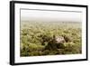 ¡Viva Mexico! Collection - Ancient Maya City within the jungle V - Calakmul-Philippe Hugonnard-Framed Photographic Print