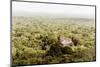 ¡Viva Mexico! Collection - Ancient Maya City within the jungle V - Calakmul-Philippe Hugonnard-Mounted Photographic Print