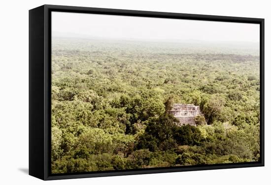 ¡Viva Mexico! Collection - Ancient Maya City within the jungle V - Calakmul-Philippe Hugonnard-Framed Stretched Canvas