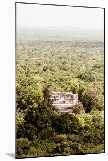 ?Viva Mexico! Collection - Ancient Maya City within the jungle VI - Calakmul-Philippe Hugonnard-Mounted Photographic Print