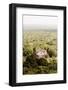 ?Viva Mexico! Collection - Ancient Maya City within the jungle VI - Calakmul-Philippe Hugonnard-Framed Photographic Print