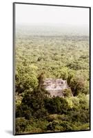 ?Viva Mexico! Collection - Ancient Maya City within the jungle VI - Calakmul-Philippe Hugonnard-Mounted Photographic Print